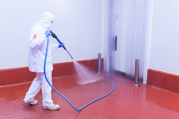 Best Building Exterior Washing  in Ashburn, VA